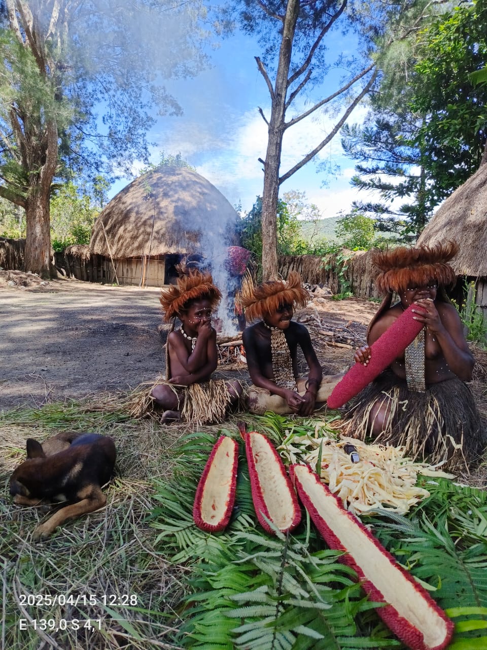 Tradisi Memasak Buah Merah