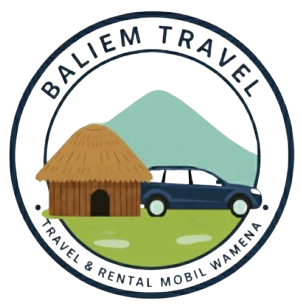 Logo Baliem Travel